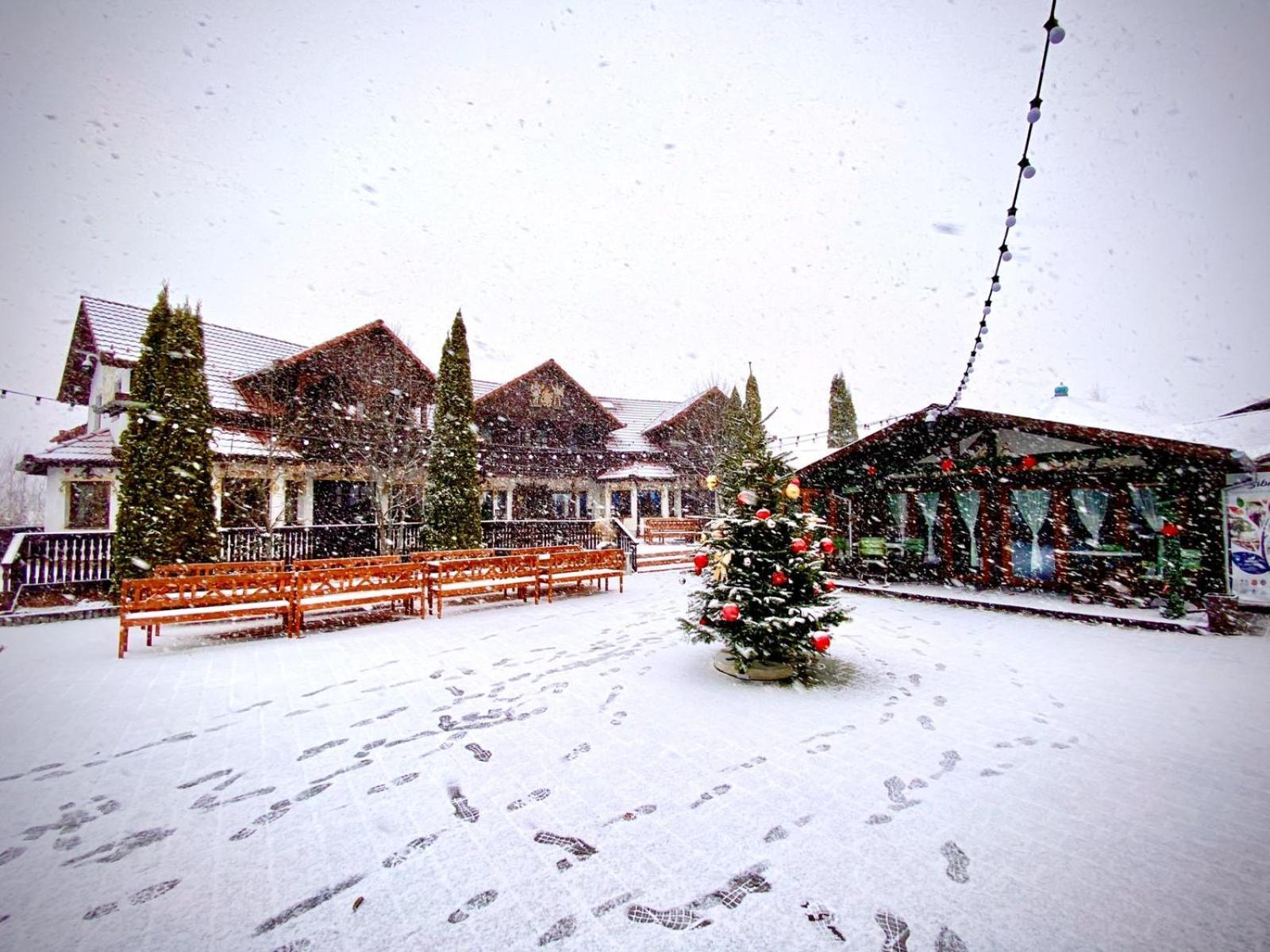 Pensiunea Apfelhaus Cisnădioara Exterior foto