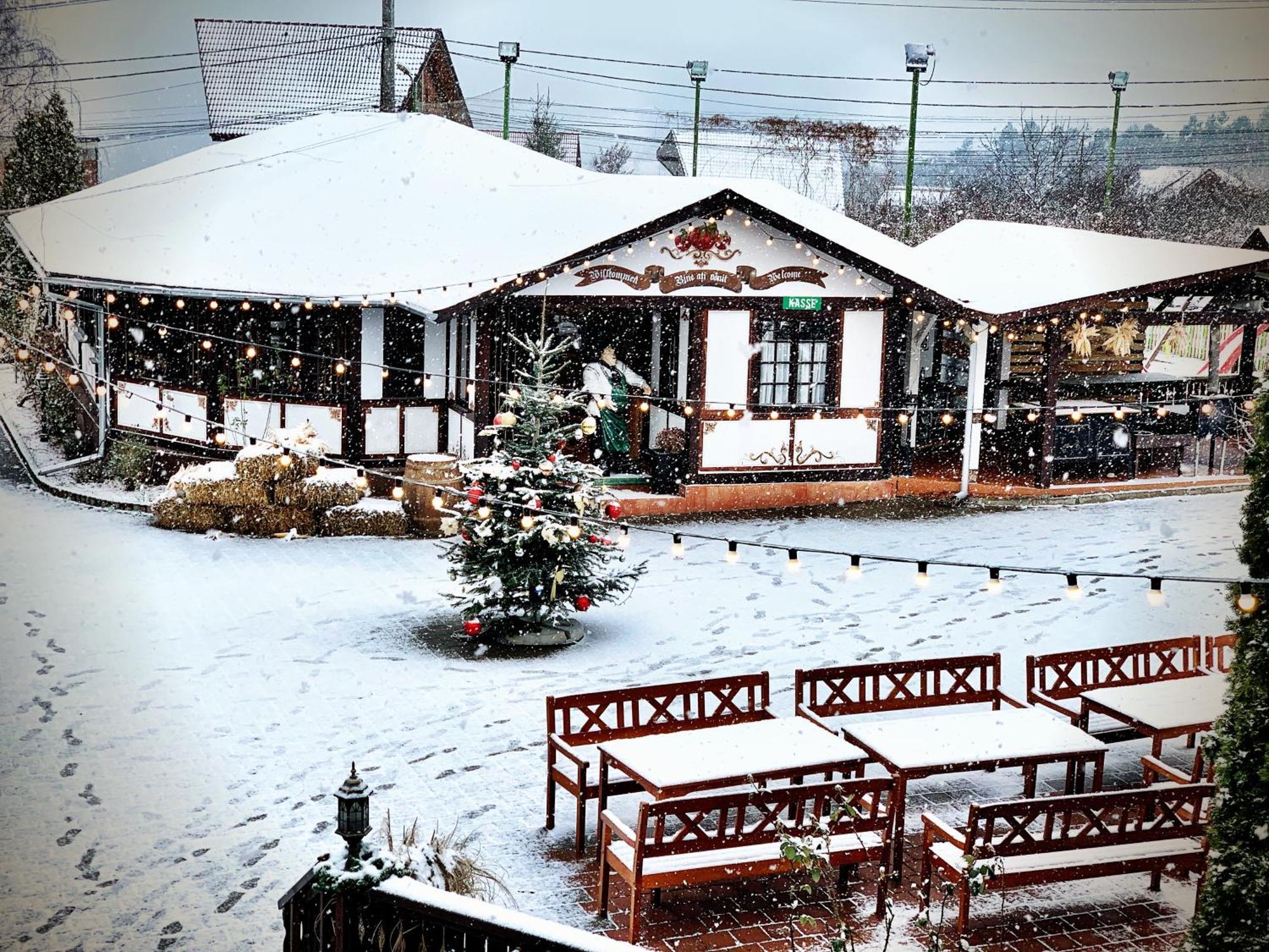Pensiunea Apfelhaus Cisnădioara Exterior foto